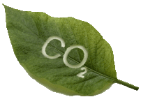carbon-dioxide-emissions